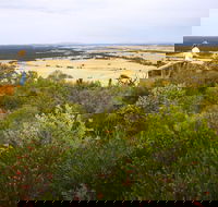 Archer Drive Scenic Drive and Lookout - Gold Coast Attractions