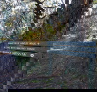 Arthurs Seat to Kings Falls Walk