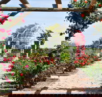 Australian Inland Botanic Gardens - Gold Coast Attractions