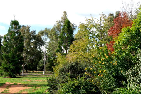 Australian Inland Botanic Gardens - Gold Coast Attractions 2