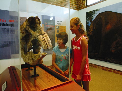 Australian Museum Diprotodon Exhibition: Closed For Building Repair July August - Gold Coast Attractions 0