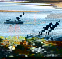 Ayr - Gold Coast Attractions