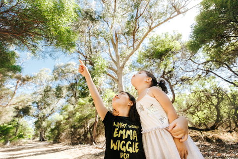 Baldivis - Gold Coast Attractions 1