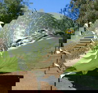 Big Murray Cod - Gold Coast Attractions