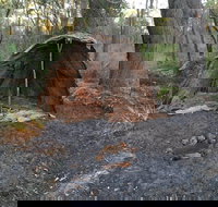 Bindjareb Cultural Park - Gold Coast Attractions