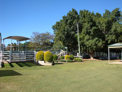 Blackall Saleyards - Gold Coast Attractions 1