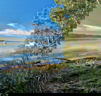 Black Oaks Picnic Area - Gold Coast Attractions