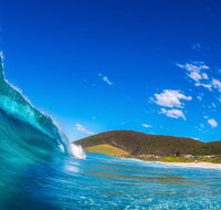 Blueys Beach Pacific Palms - Gold Coast Attractions