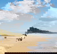 Bongil Bongil National Park - Gold Coast Attractions