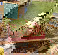 Burnie Farmers Market - Gold Coast Attractions