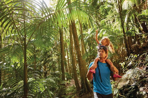 Canungra - Gold Coast Attractions 0