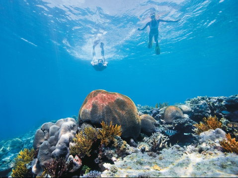 Capricorn Coast And Great Keppel Island Drive Itinerary - Gold Coast Attractions 0