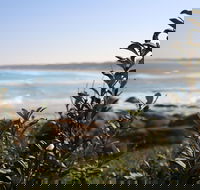 Cape Conran Coastal Park - Gold Coast Attractions