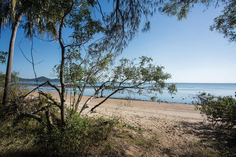 Cape Hillsborough National Park - Gold Coast Attractions 1
