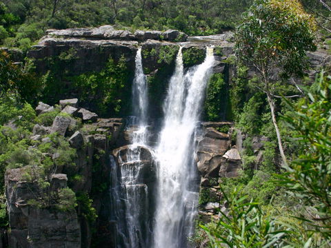 Carrington Falls - Gold Coast Attractions 0