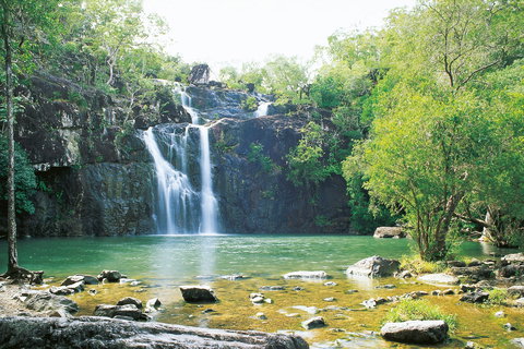 Cedar Creek Falls - Gold Coast Attractions 0