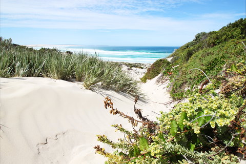 Coffin Bay National Park - Gold Coast Attractions 1