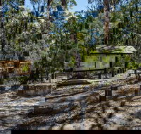 Couridjah Corridor Walk - Gold Coast Attractions