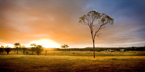 Crows Nest - Gold Coast Attractions 1