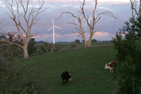 Crookwell Wind Farm - Gold Coast Attractions 1