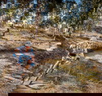 Cycle Mogo State Forest - Gold Coast Attractions