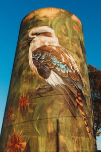 Deniliquin Water Tower Mural