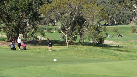 Devilbend Golf Club - Gold Coast Attractions 2