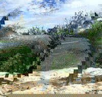 Dingo Statue - Gold Coast Attractions