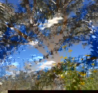 Euroa Arboretum - Gold Coast Attractions