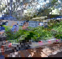 Fernvale Country Markets - Gold Coast Attractions