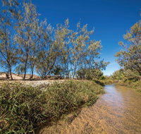 Freshwater Creek Track Byfield National Park - Gold Coast Attractions