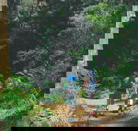 Gloucester National Park - Gold Coast Attractions