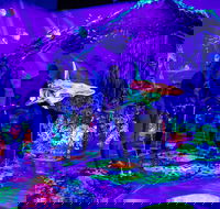 Glowing Rooms 3D Mini Golf - Gold Coast Attractions