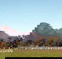 Grampians - Gold Coast Attractions