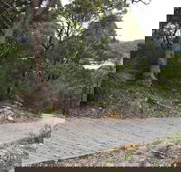 Great North Walk  Ku-ring-gai Chase National Park - Gold Coast Attractions