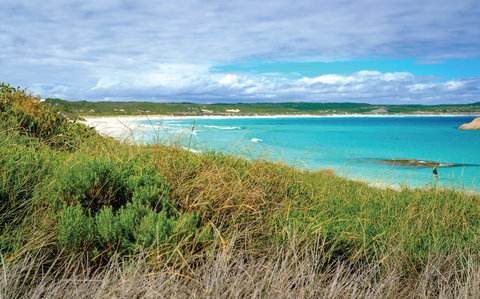 Great Ocean Drive - Gold Coast Attractions 2