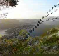 Great North walk - Berowra Valley National Park - Gold Coast Attractions