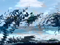 Hastings Point Beach