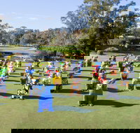 Hello Koalas Sculpture Trail - Gold Coast Attractions