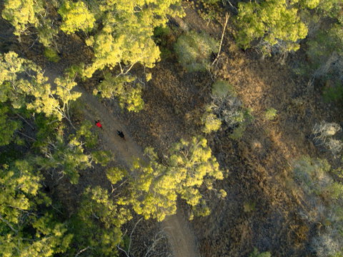 Hillview Drive Reserve - Gold Coast Attractions 2