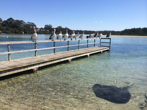 Kayaking Tomaga River - Gold Coast Attractions 2