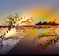 Lake Dyer - Gold Coast Attractions