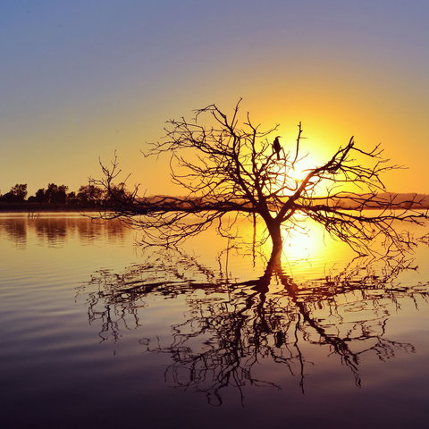 Lake Dyer - Gold Coast Attractions 0