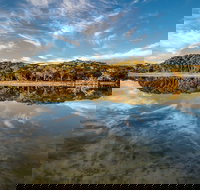 Lashmar Conservation Park - Gold Coast Attractions