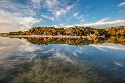 Lashmar Conservation Park - Gold Coast Attractions 0