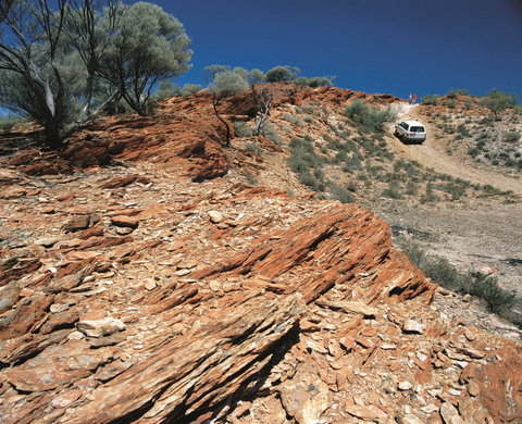 Leonora - Gold Coast Attractions 2