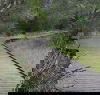 Leschenault Peninsula Conservation Park - Gold Coast Attractions