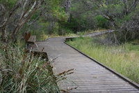 Leschenault Peninsula Conservation Park