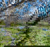 Macquarie Valley Trails - Gold Coast Attractions