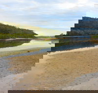 Mangrove Walk - Gold Coast Attractions